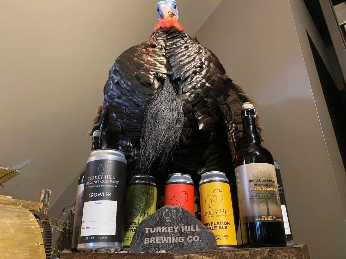 A turkey surrounded by various beer cans and bottles, with a stone labeled "Turkey Hill Brewing Co." in front.