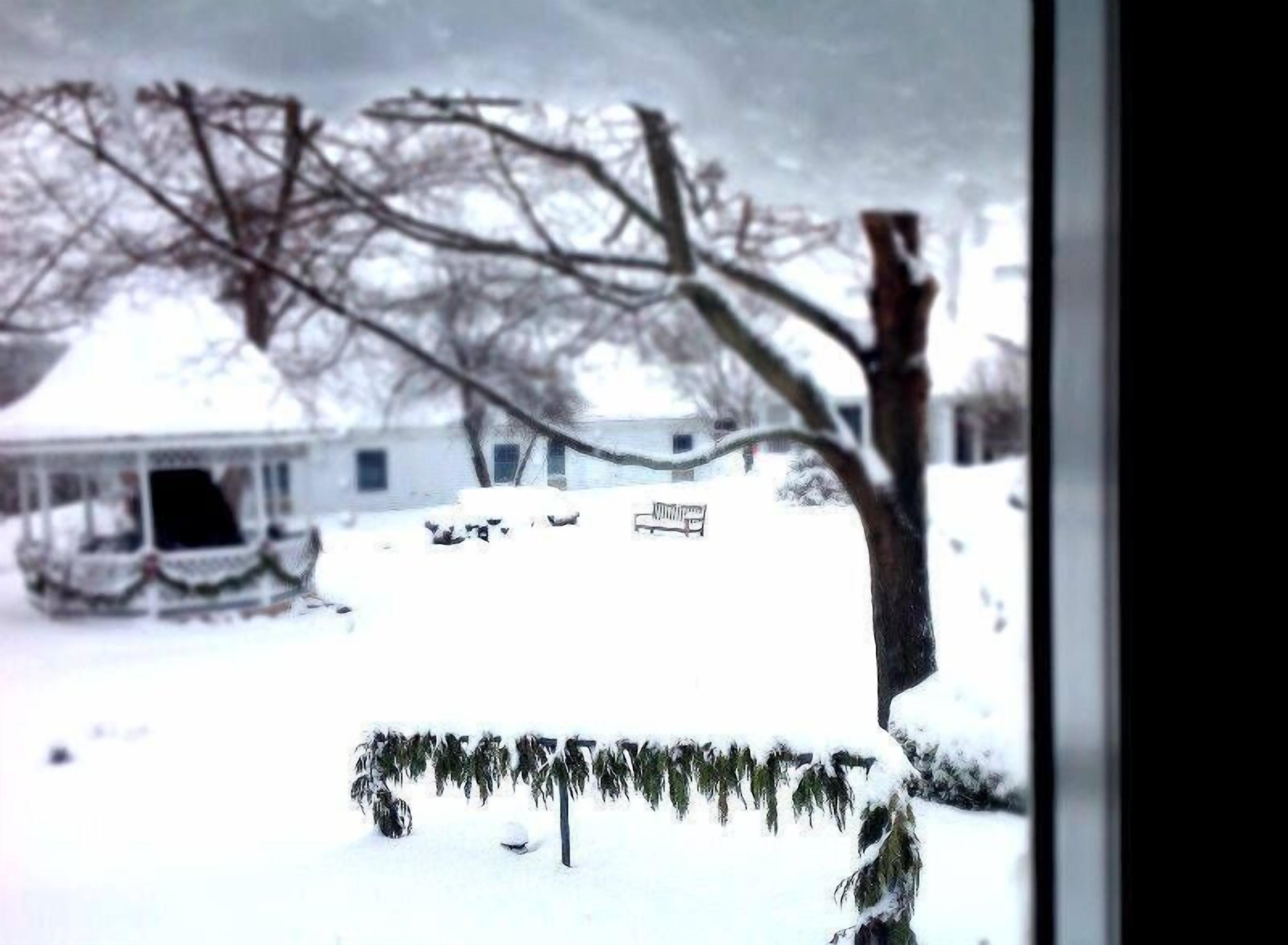 Una casa cubierta de nieve con un porche y un árbol frente a ella.