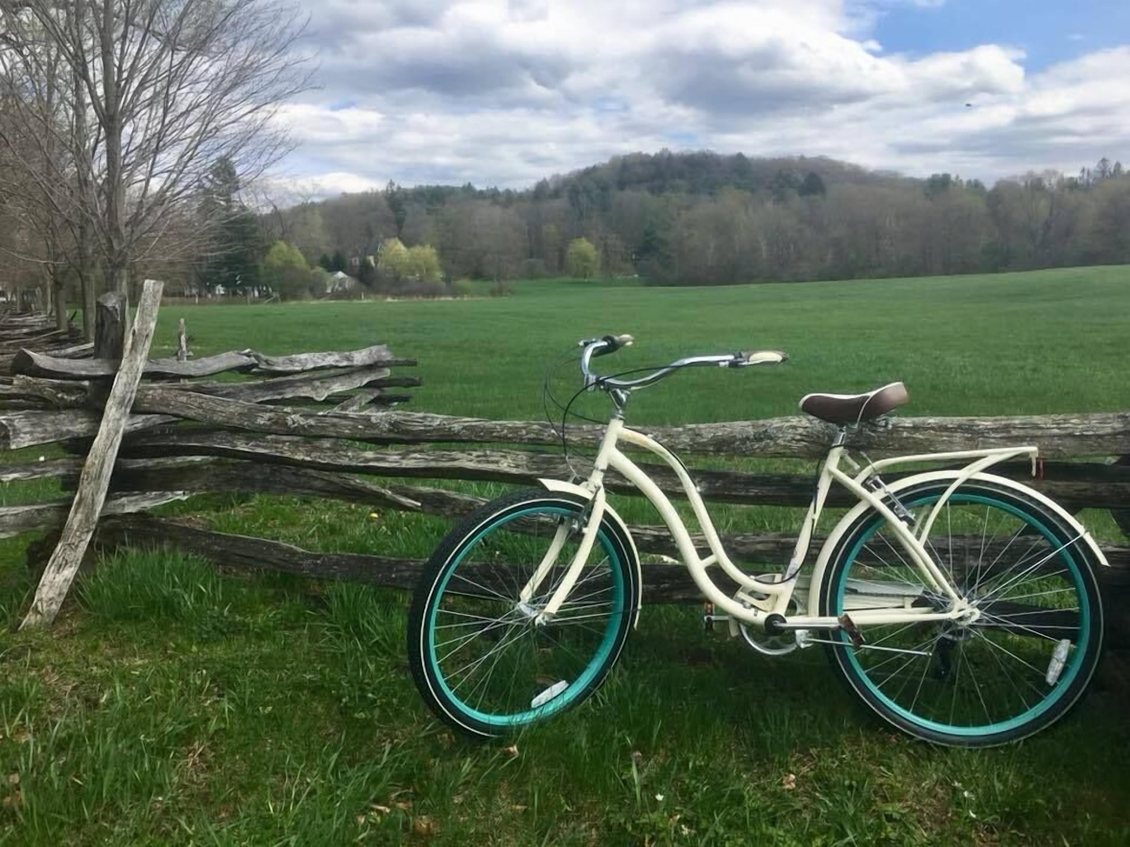 Una bicicleta estacionada junto a una valla de madera en un campo verde con una colina boscosa al fondo.