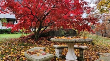 A garden with a stone fountain and a tree with red leaves.