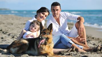 Comodidades da propriedade