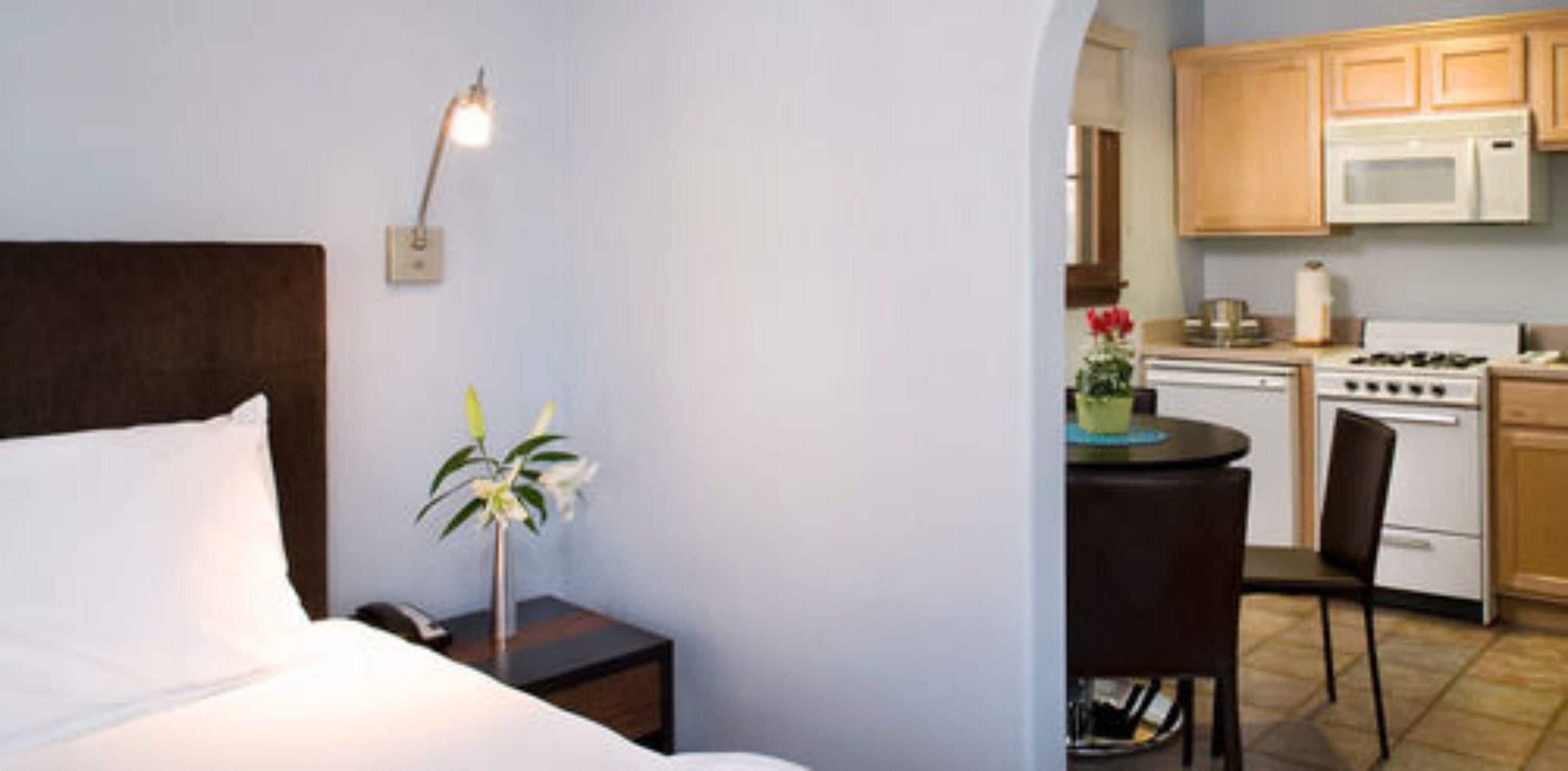 Une chambre comprenant un lit, une table de chevet, une lampe et une plante en pot. À côté se trouve une petite cuisine équipée d’un four à micro-ondes, d’une cuisinière et de chaises.