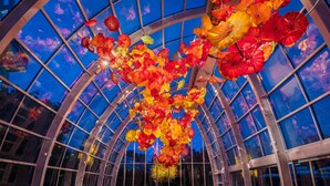 A glass ceiling with colorful glass flowers suspended from the center. - Seattle Gaslight Inn (Seattle)