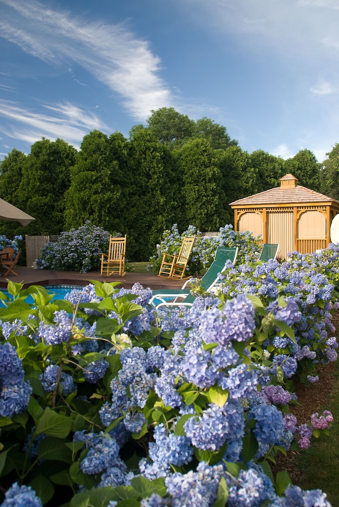 Brewster By The Sea Inn by null