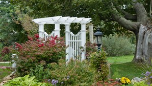 Un jardín con un pórtico blanco, diversas plantas y un árbol grande.