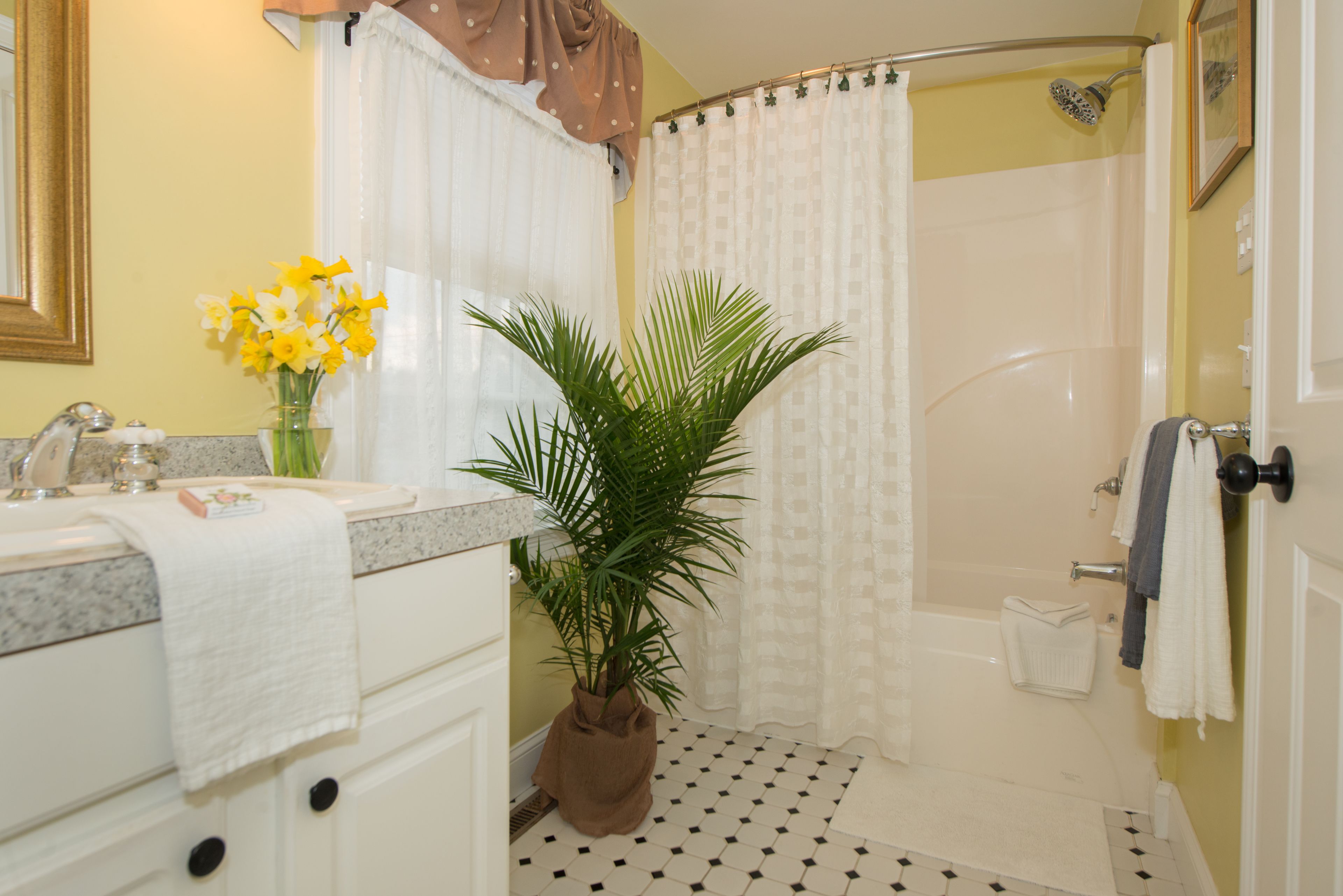 Baño con lavamanos, espejo, ducha y una planta en maceta.