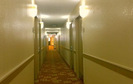 Econo Lodge Inn Suites Gatlinburg at the Convention Center - Image 23