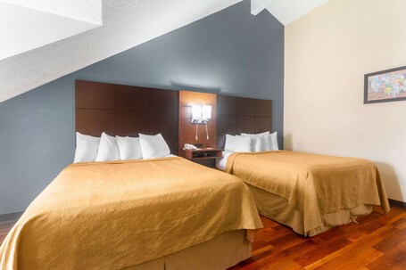 Econo Lodge Inn Suites Gatlinburg at the Convention Center - Image 28