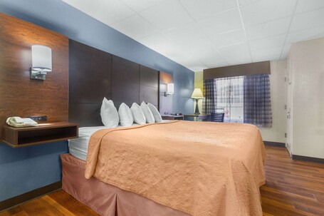 Econo Lodge Inn Suites Gatlinburg at the Convention Center - Image 3
