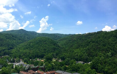 Econo Lodge Inn Suites Gatlinburg at the Convention Center - Image 9