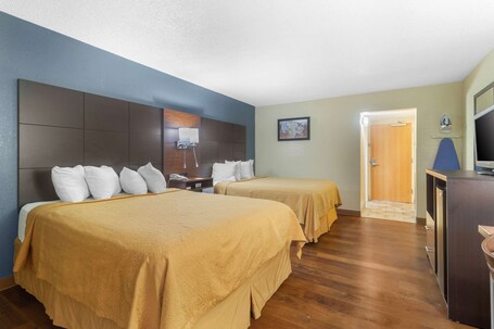 Econo Lodge Inn Suites Gatlinburg at the Convention Center - Image 22