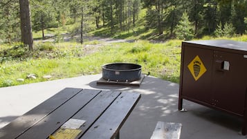 Tent Cabins (Camping - no electricity, no bed linens, shared bath) | BBQ/picnic area