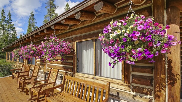 A wooden cabin with a deck, wooden benches, and hanging flower baskets.