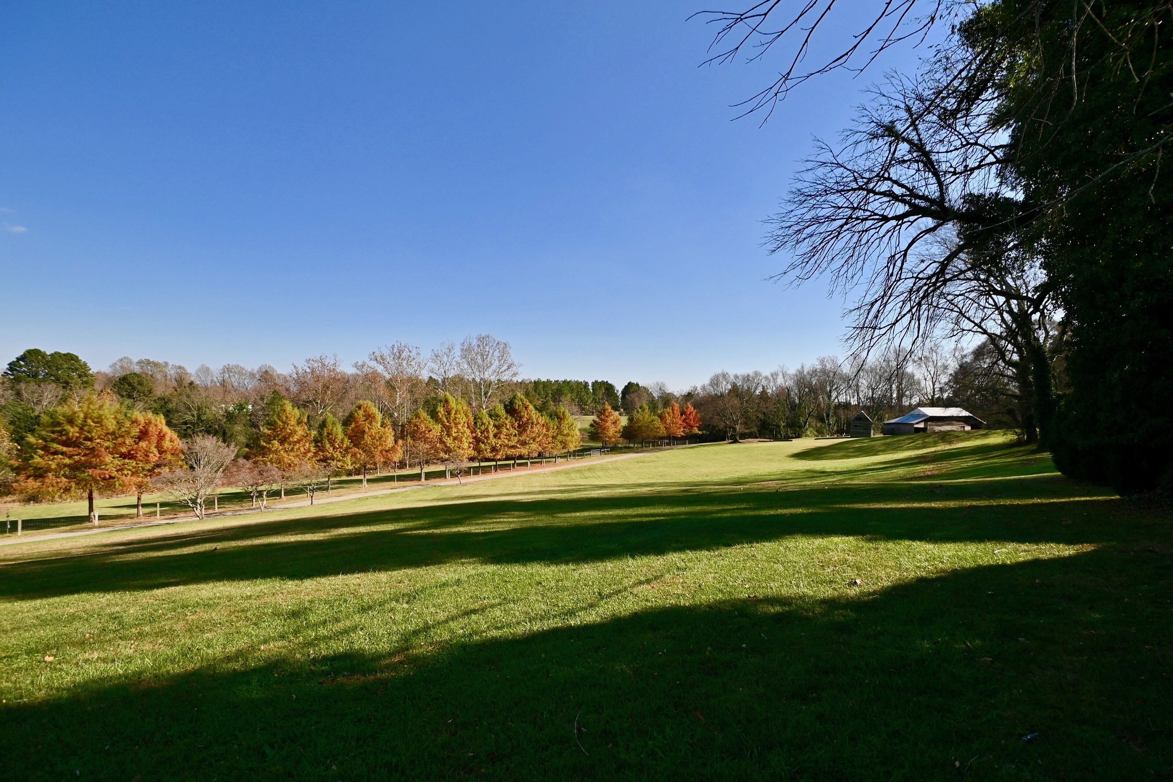 A grassy field with trees and a building in the background.