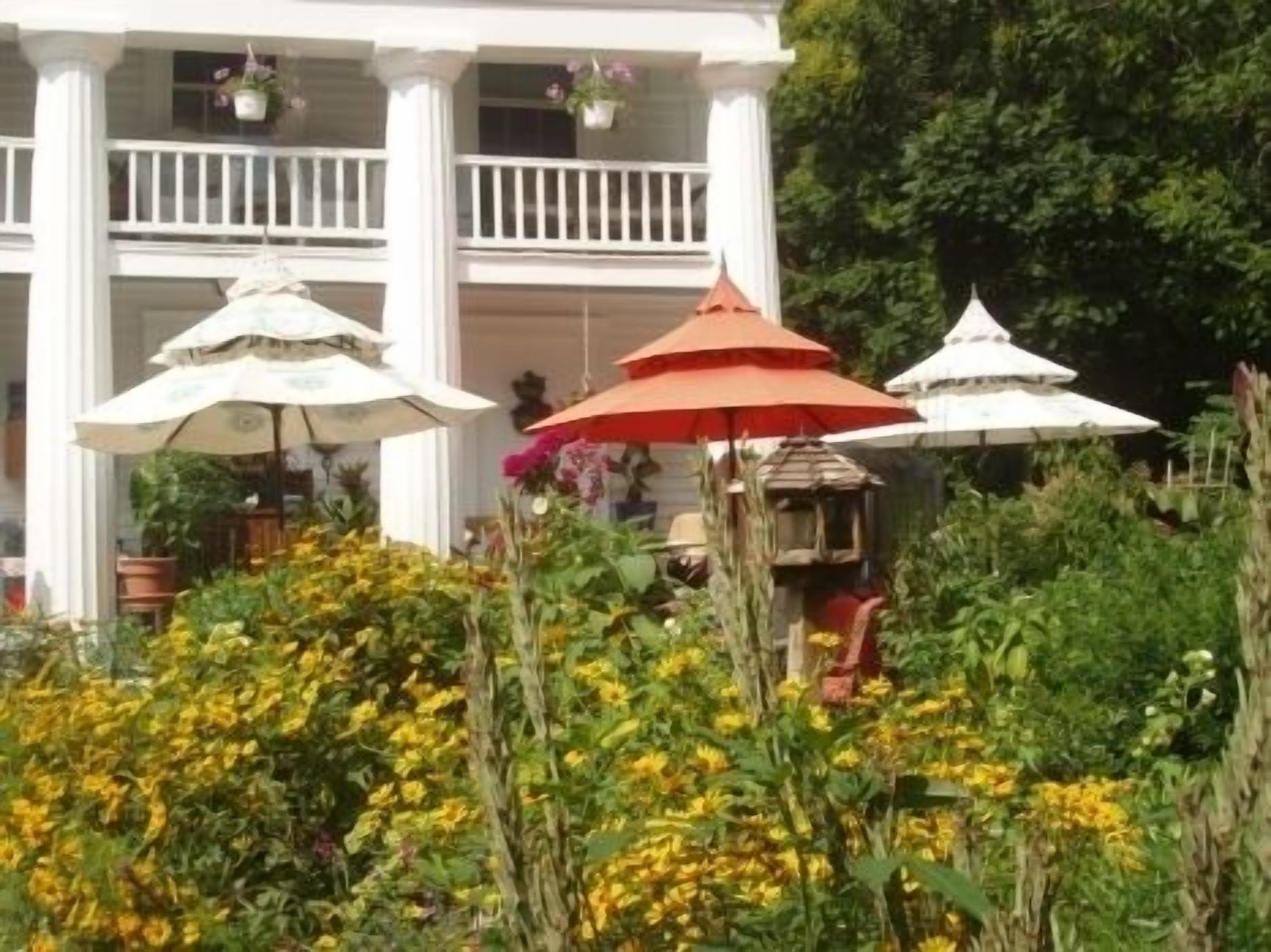 A white building with a balcony, surrounded by yellow flowers and red and white umbrellas.