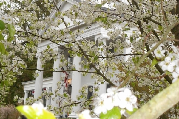 واجهة المنشأة