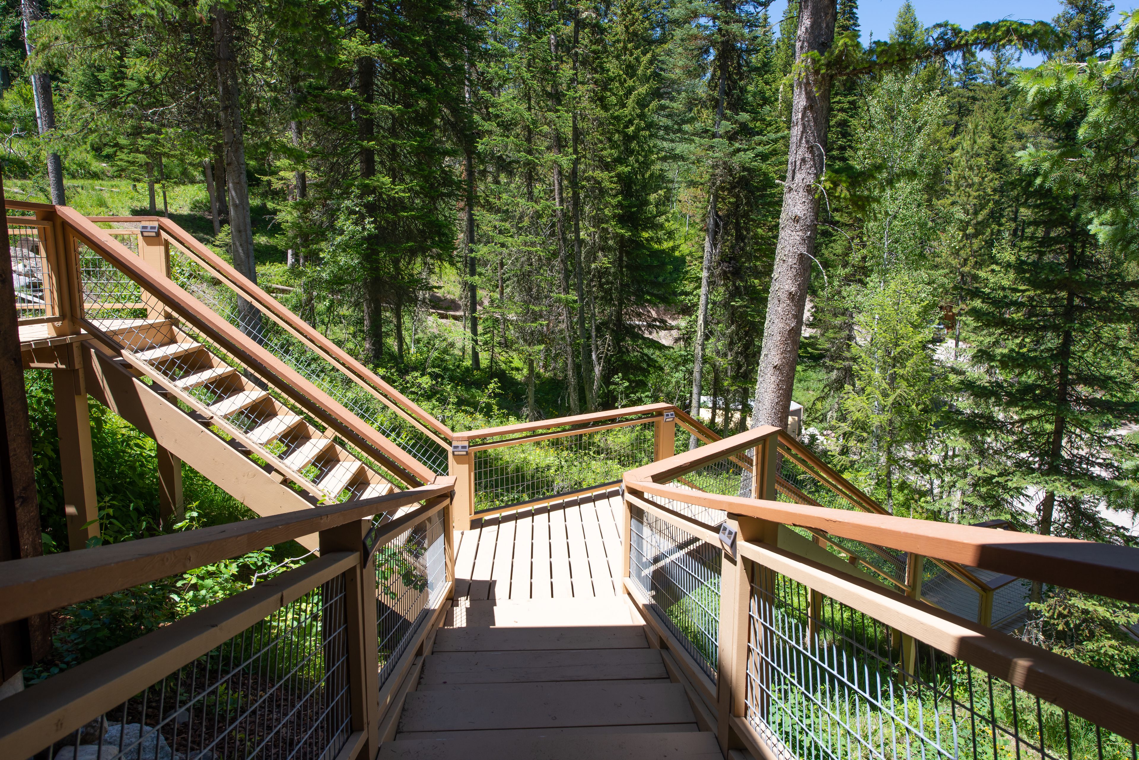 A wooden staircase leading down into a forested area with metal railings.