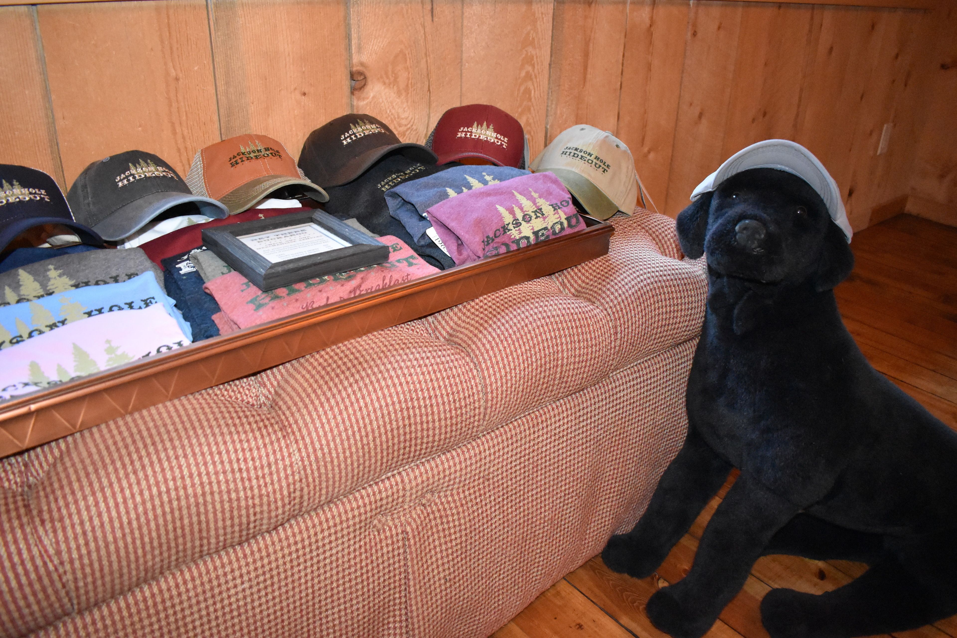 A collection of hats on a wooden surface with a black dog sitting beside them.