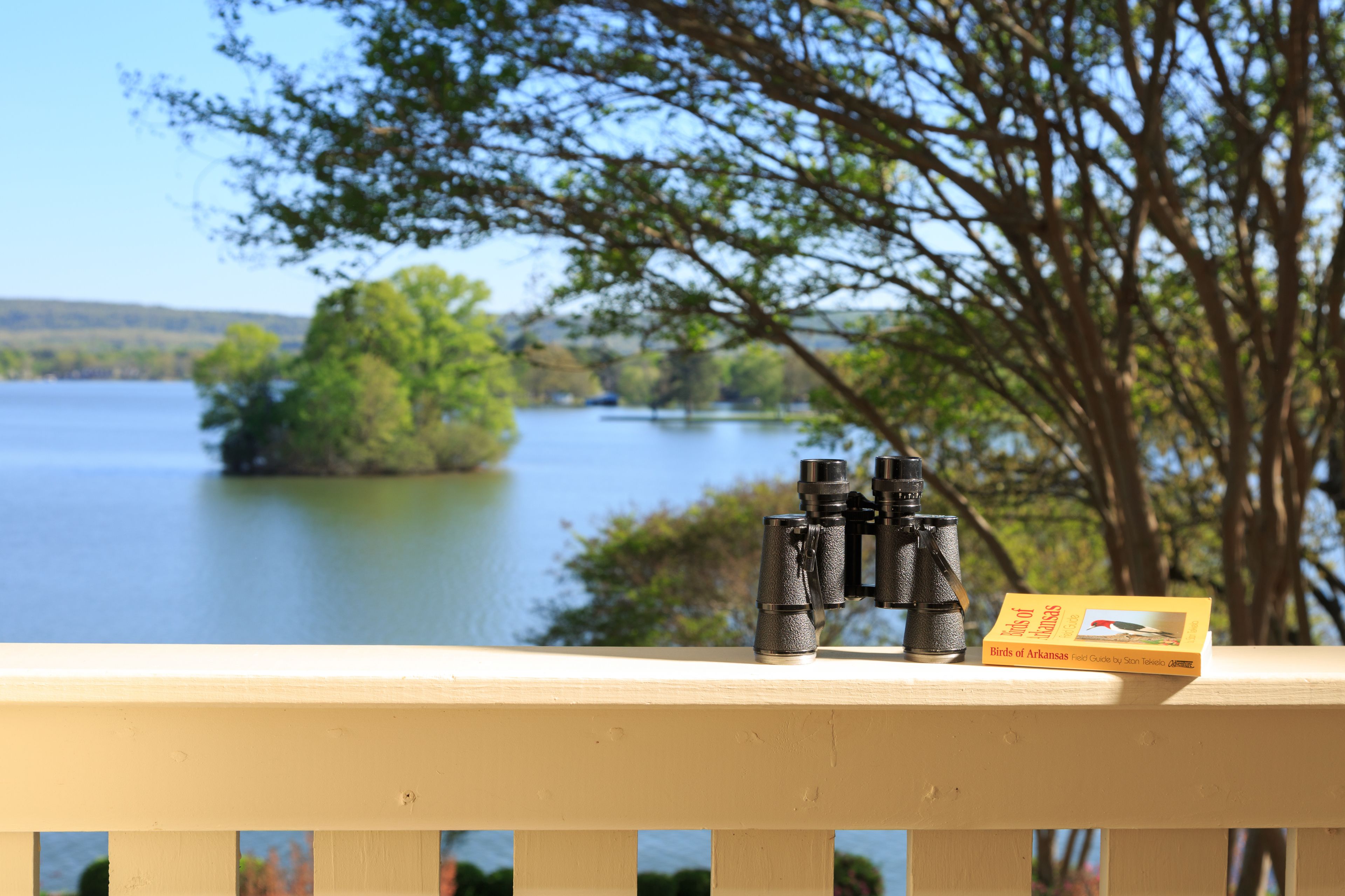 Binocolo e un libro intitolato 'Birds of Arkansas' su una ringhiera di legno con vista su un lago.