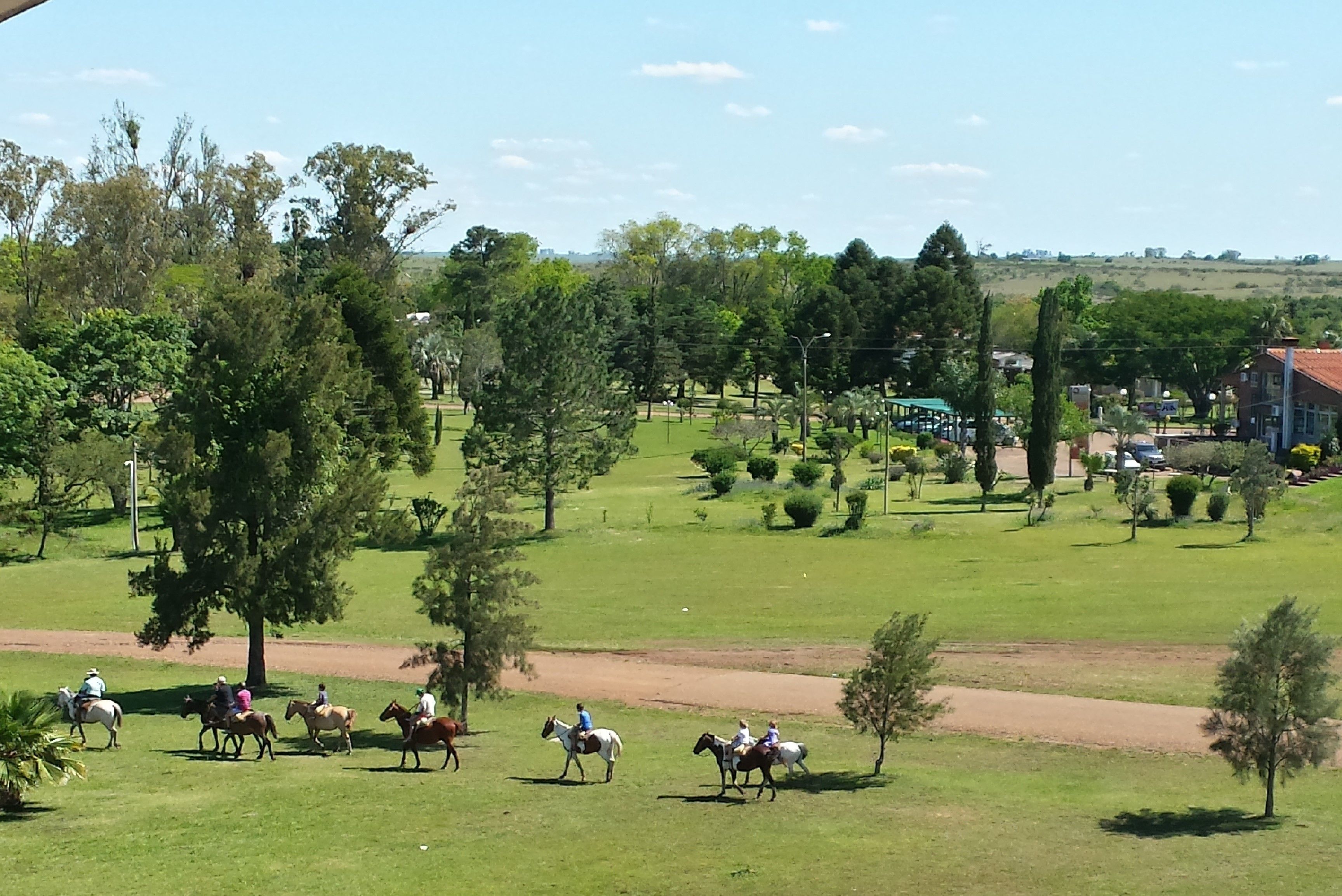 A grassy field with people riding horses.