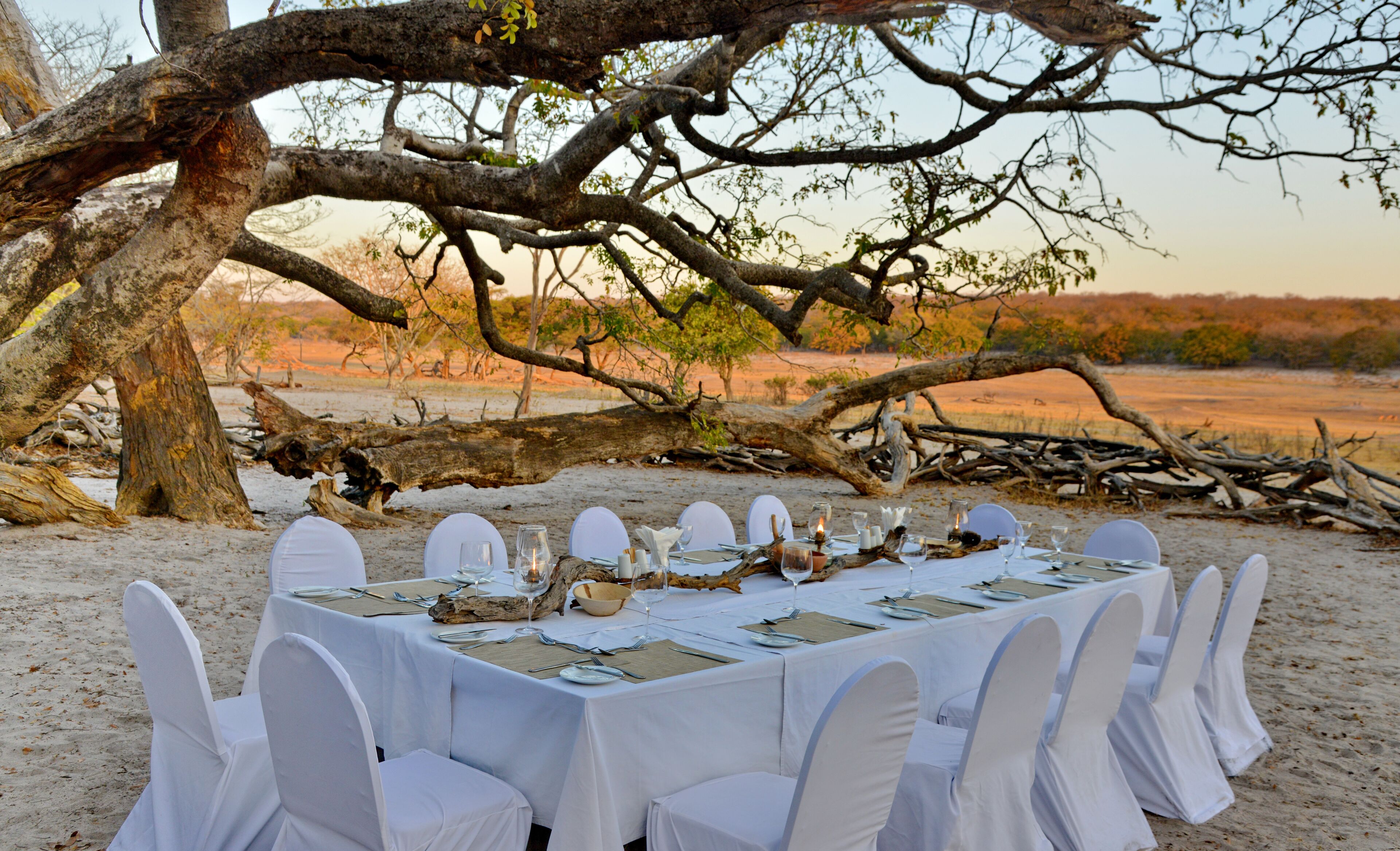 A table set for a meal with white chairs and a white tablecloth, surrounded by a natural landscape with trees and a fallen tree trunk.