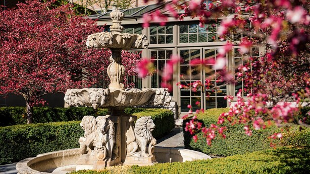 A stone fountain with lion sculptures in a landscaped garden with pink flowering trees and a building with large windows in the background. - Royal Park Hotel (Rochester)