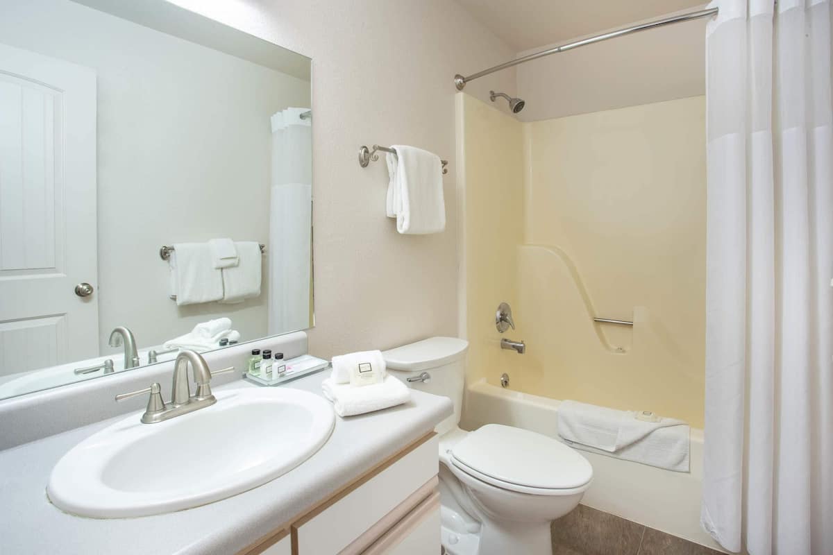 free toiletries, hair dryer, towels