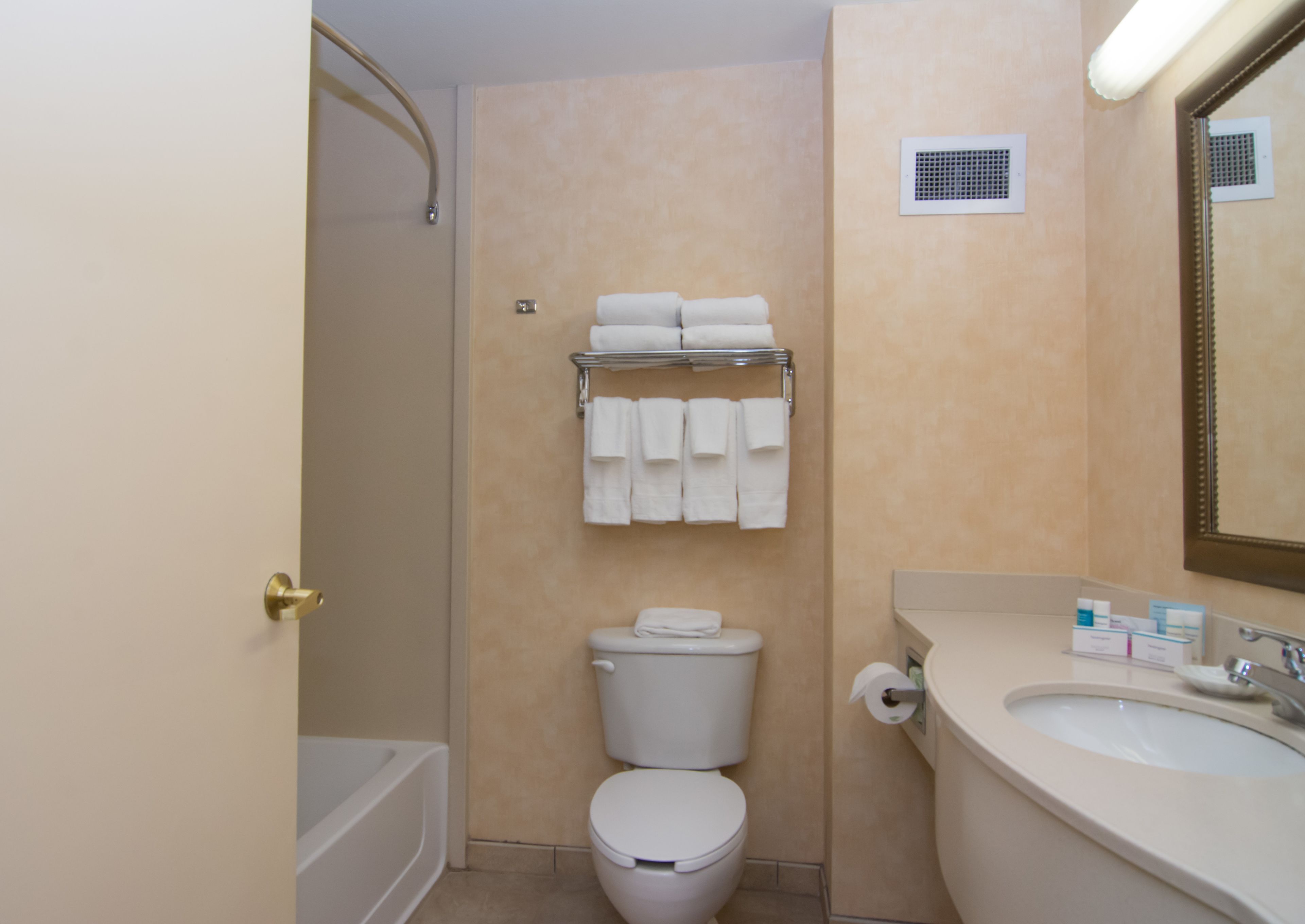 combined shower/bathtub, free toiletries, hair dryer, towels