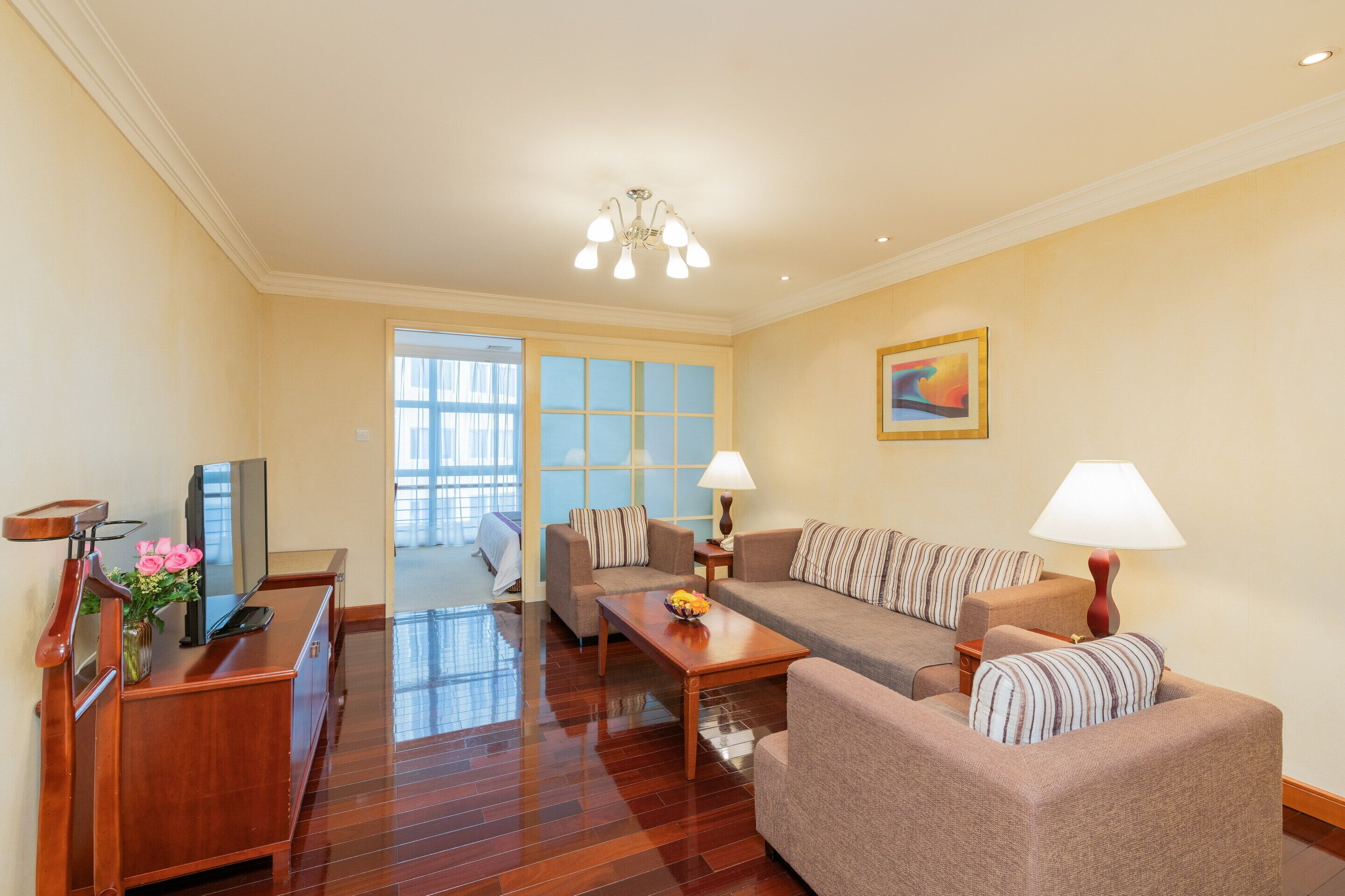 Suite de lujo | Zona de estar | Una televisión LCD