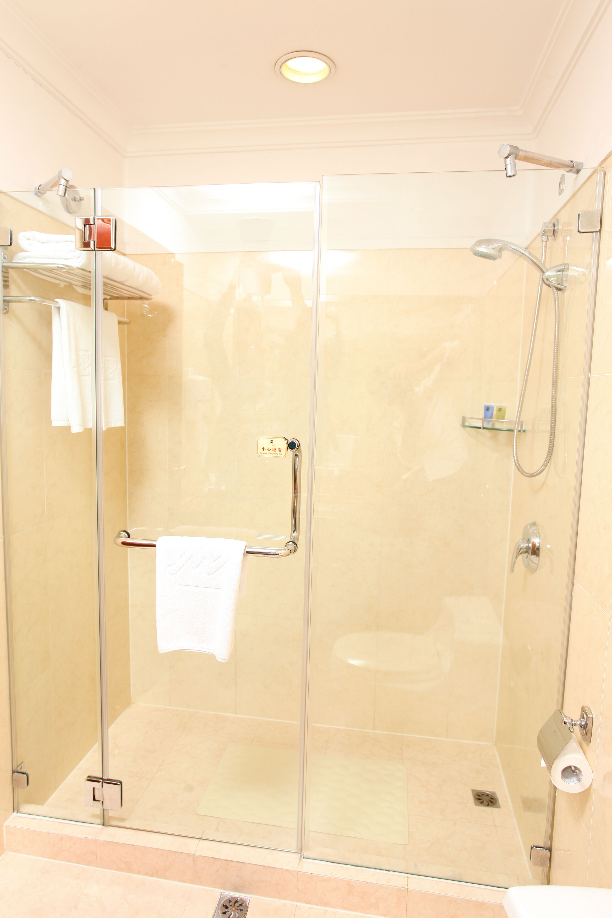 A glass-enclosed shower stall with a towel rack, a handheld showerhead, and a toilet paper holder.