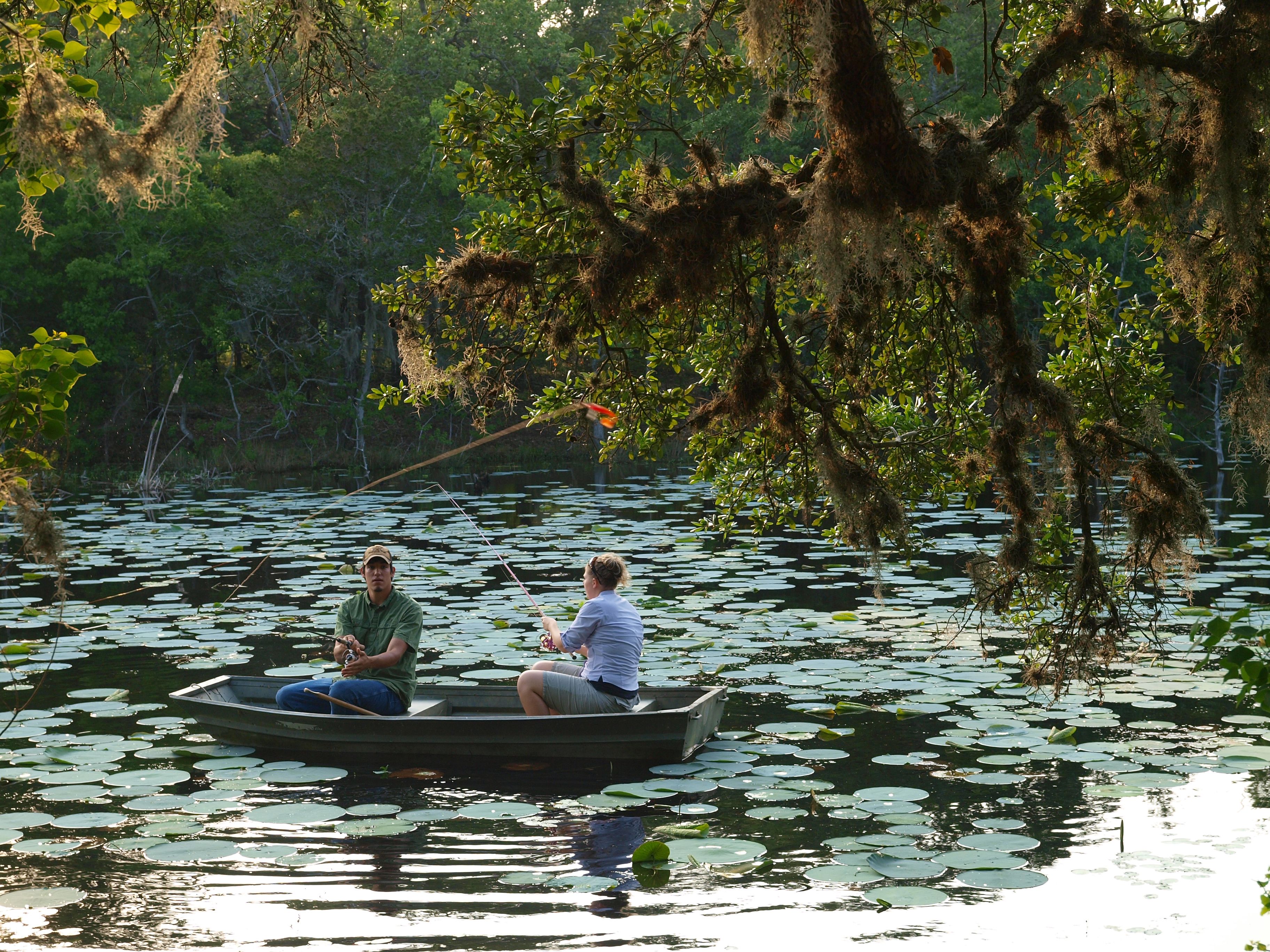 Two people in a rowboat on a lake surrounded by trees and lily pads.