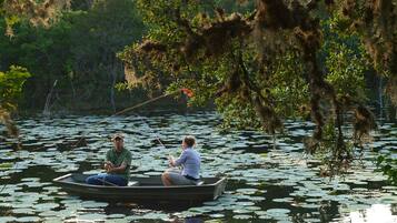 Two people in a rowboat on a lake surrounded by trees and lily pads.