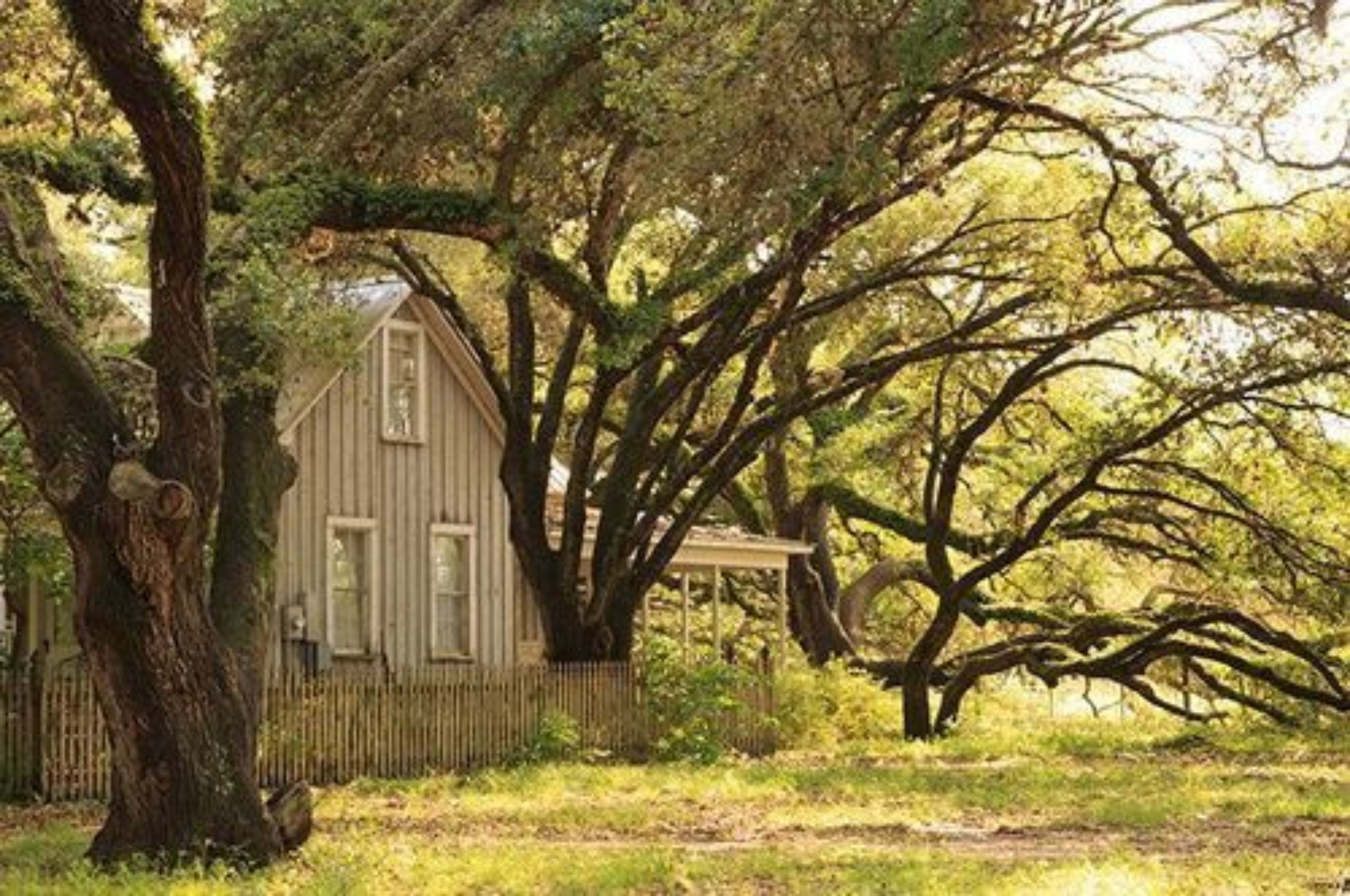 Una casa de madera rústica rodeada de árboles frondosos.