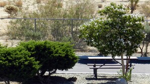 A parking lot with a picnic table and a small tree with white flowers. - High Desert Motel Joshua Tree National Park (Joshua Tree)