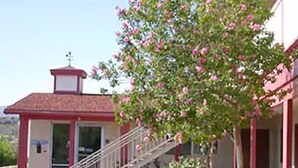A building with a red roof, a staircase leading to a door, and a tree with pink flowers. - High Desert Motel Joshua Tree National Park (Joshua Tree)