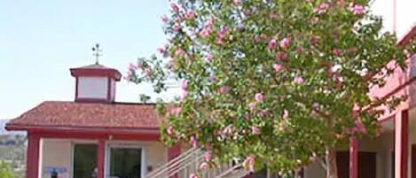 A building with a red roof, a staircase leading to a door, and a tree with pink flowers.