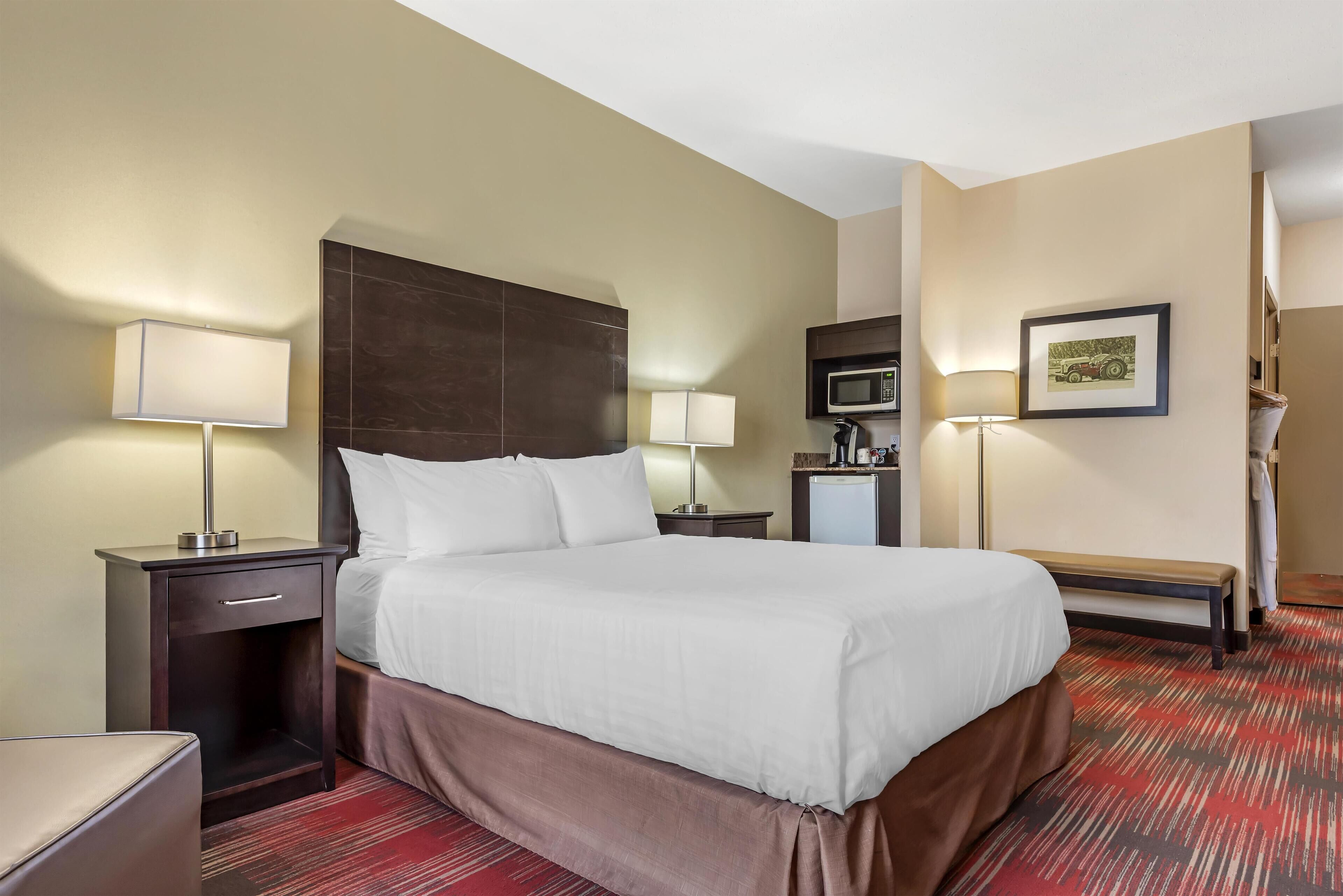 Habitación de hotel con una cama grande, mesitas de noche, un escritorio, un microondas y un cuadro en la pared.