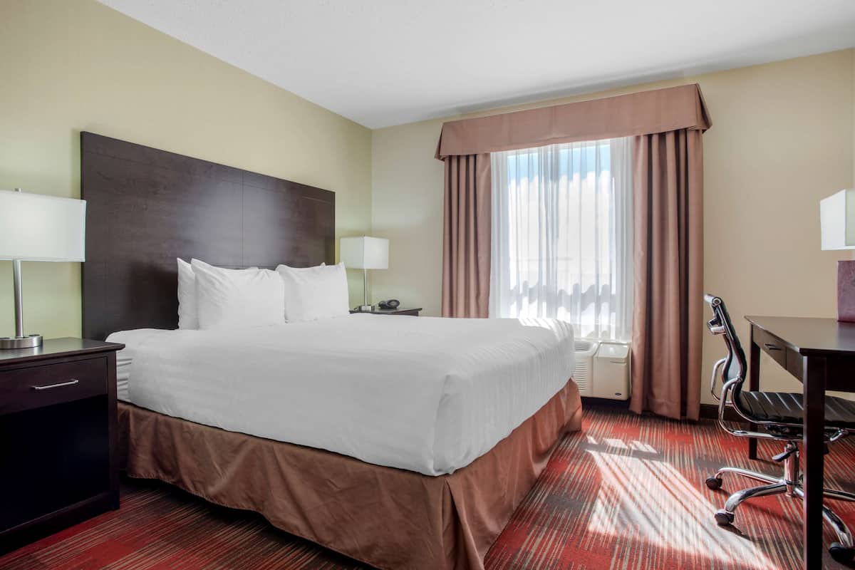 Premium bedding, down duvets, pillow-top beds, in-room safe