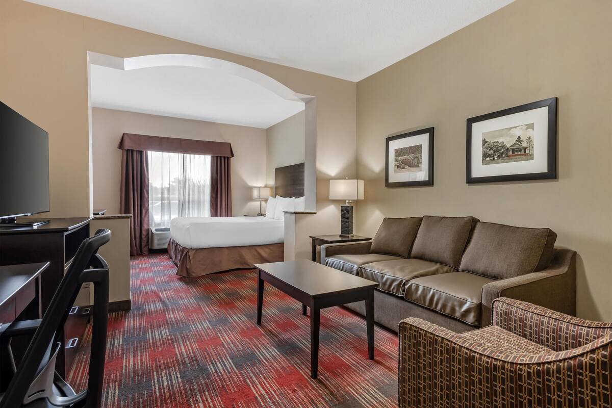 Suite, 1 King Bed, Non Smoking, Refrigerator & Microwave (with Sofabed) | Premium bedding, down comforters, pillowtop beds, in-room safe