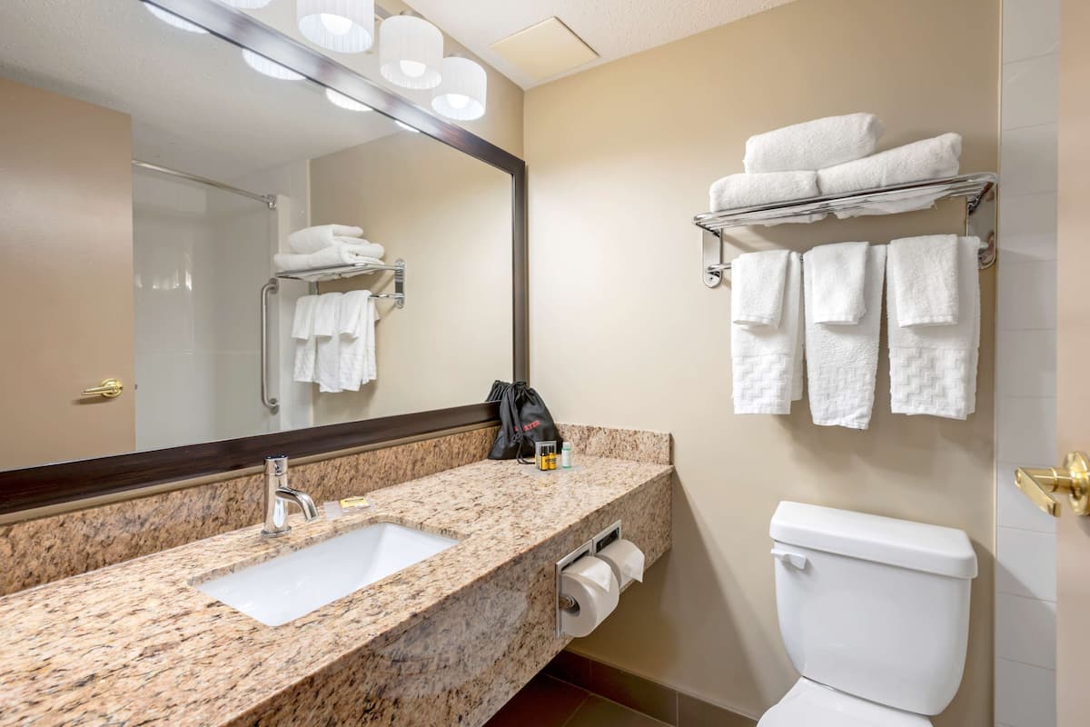 suite, multiple beds, non smoking, refrigerator & microwave (with sofabed) | bathroom | combined shower/bathtub, free toiletries, hair dryer, towels