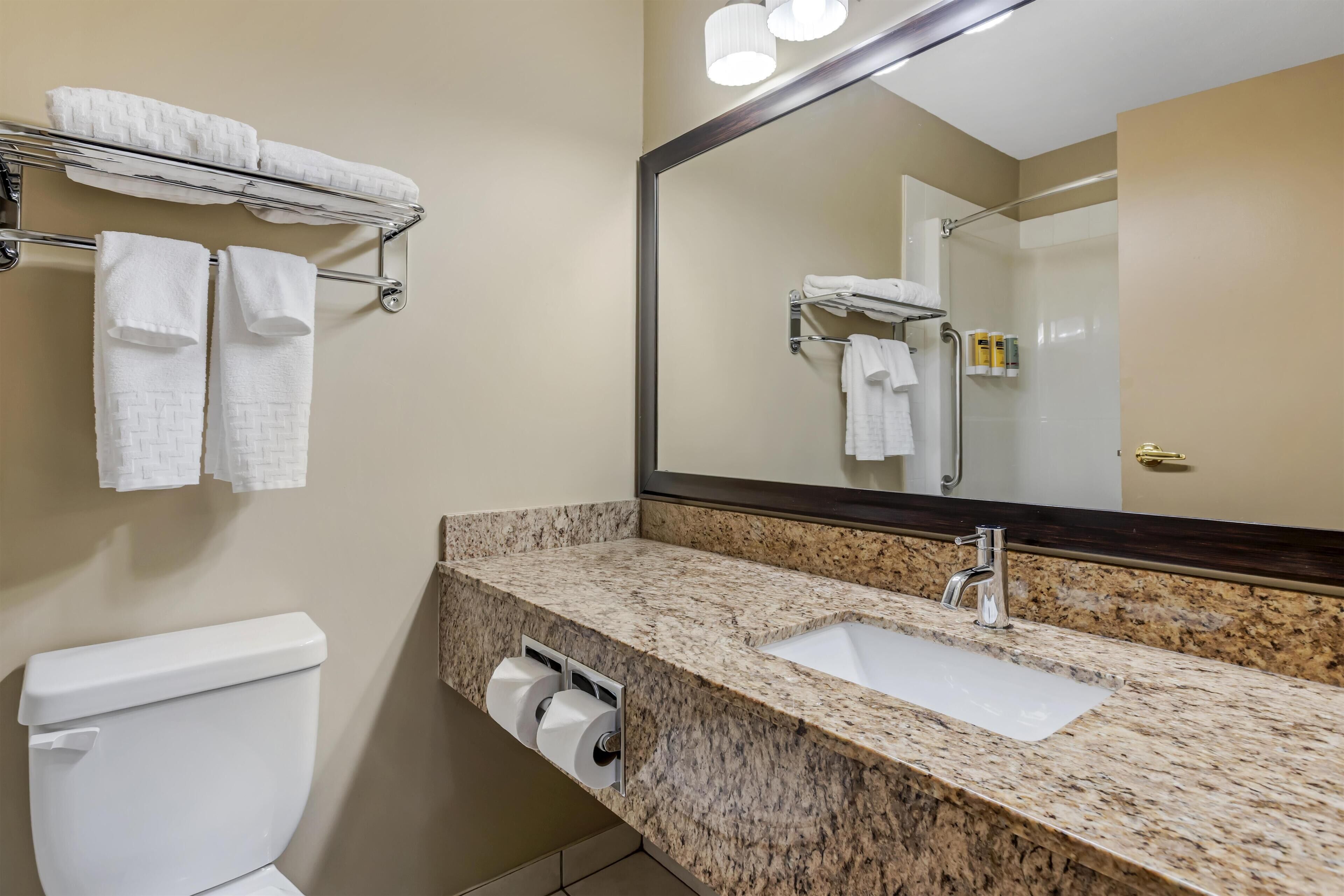 A bathroom with a marble sink, a toilet, a towel rack, and a mirror.