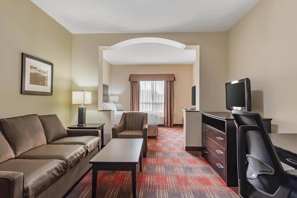 Suite, 1 King Bed, Non Smoking, Kitchenette (with Sofabed)