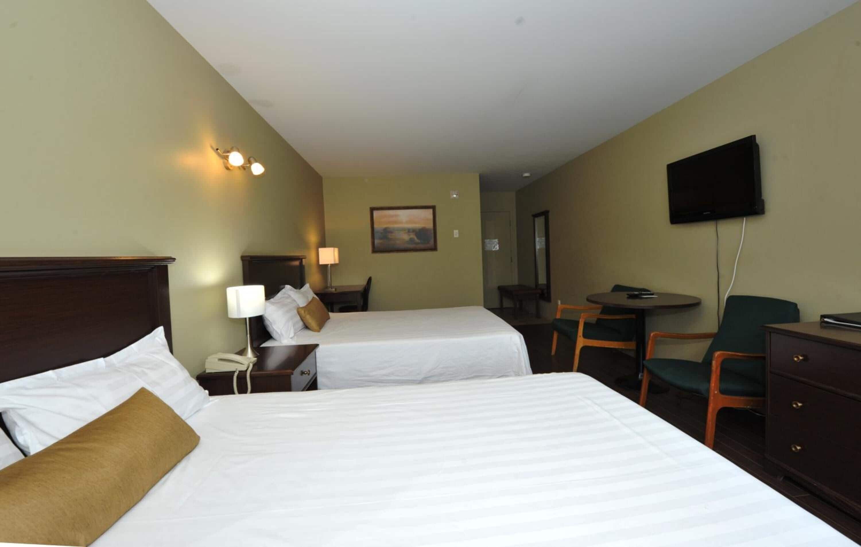 classic room, 2 queen beds, pets allowed | premium bedding, blackout curtains, iron/ironing board, cots/infant beds