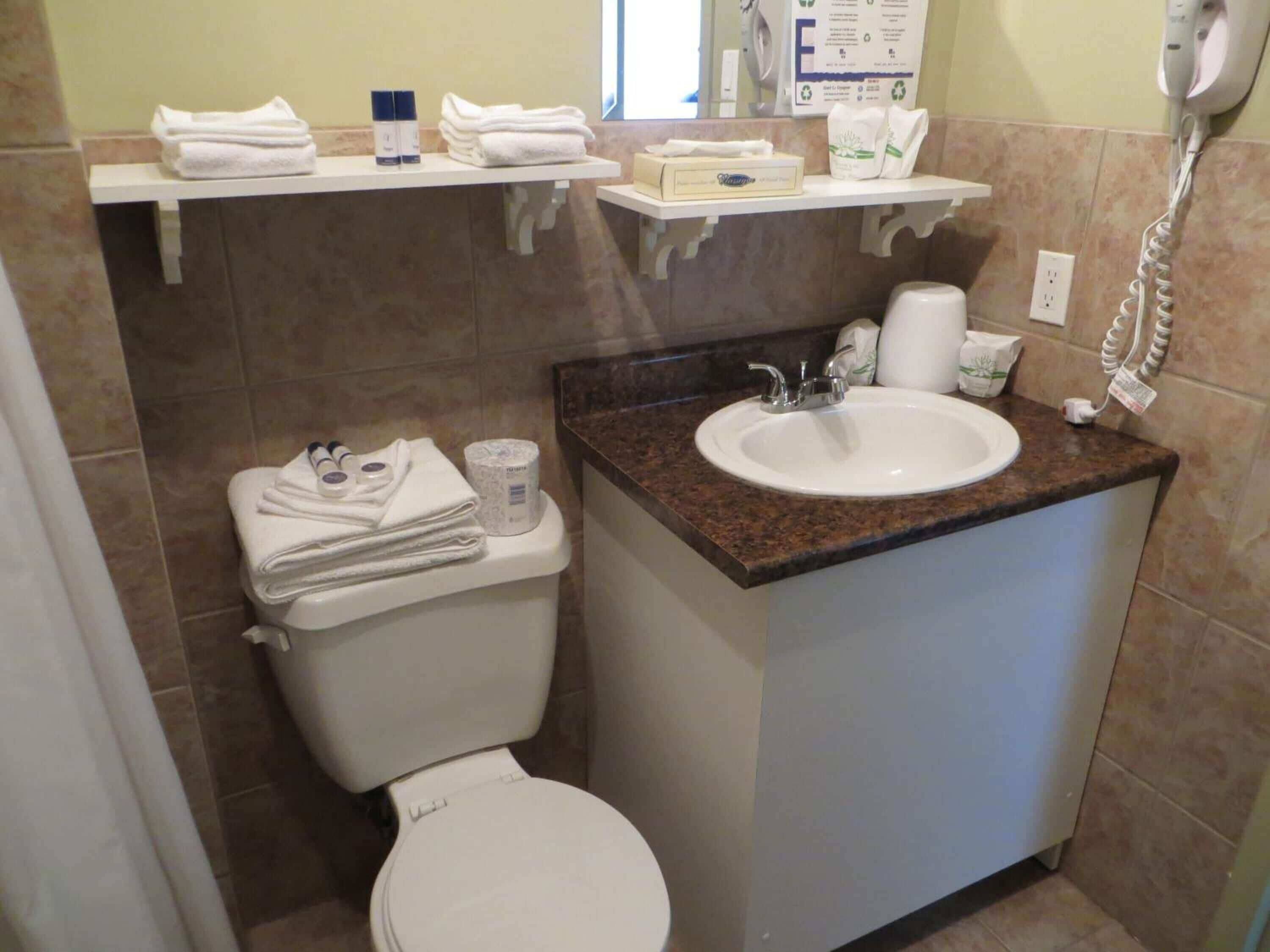classic room, 2 queen beds, pets allowed | bathroom | hair dryer, towels, soap, shampoo