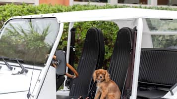 A white golf cart with a dog sitting in the back, labeled "HOTEL BARDO SAVANNAH".