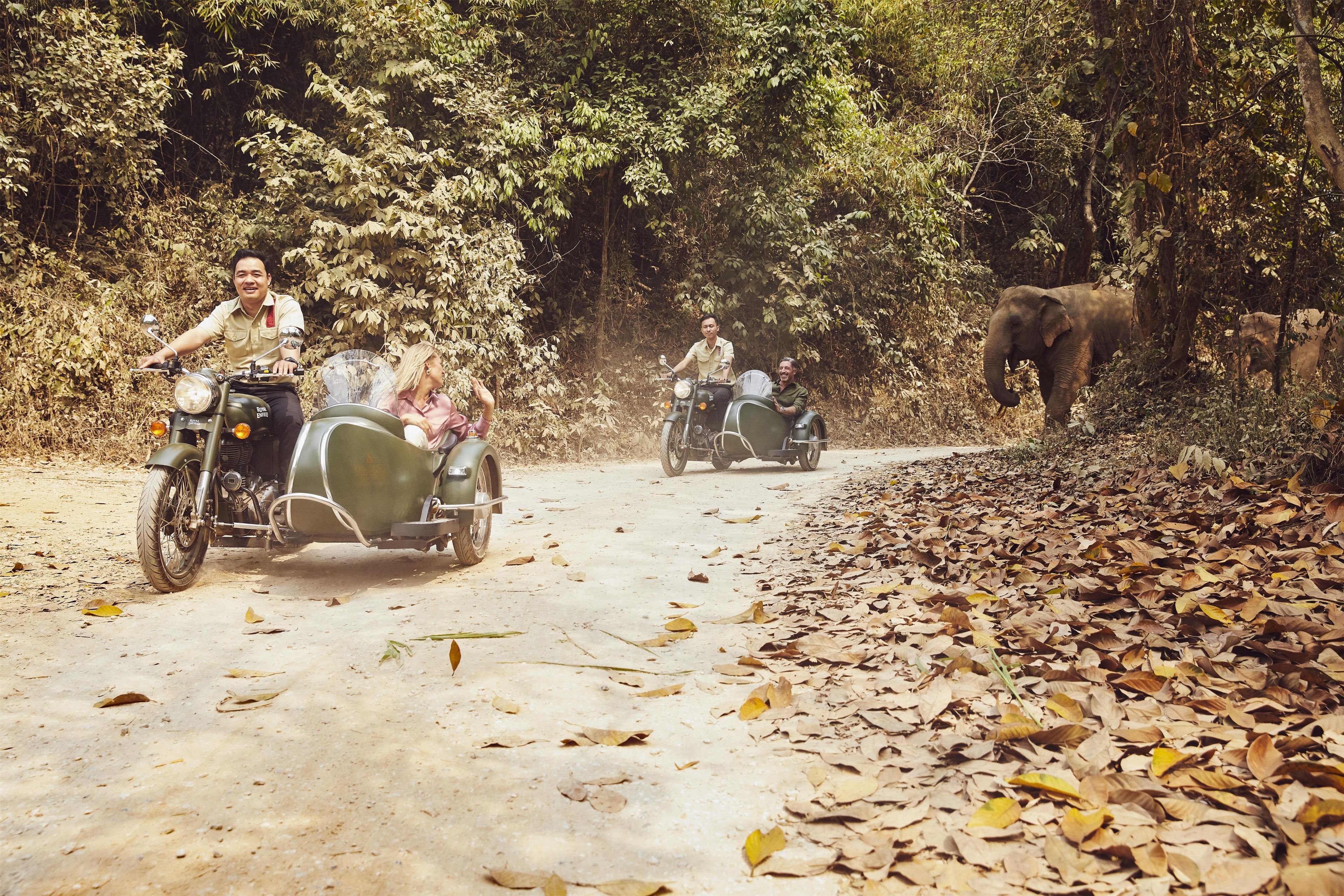 Un chemin de terre avec deux motos et, au loin, un éléphant.