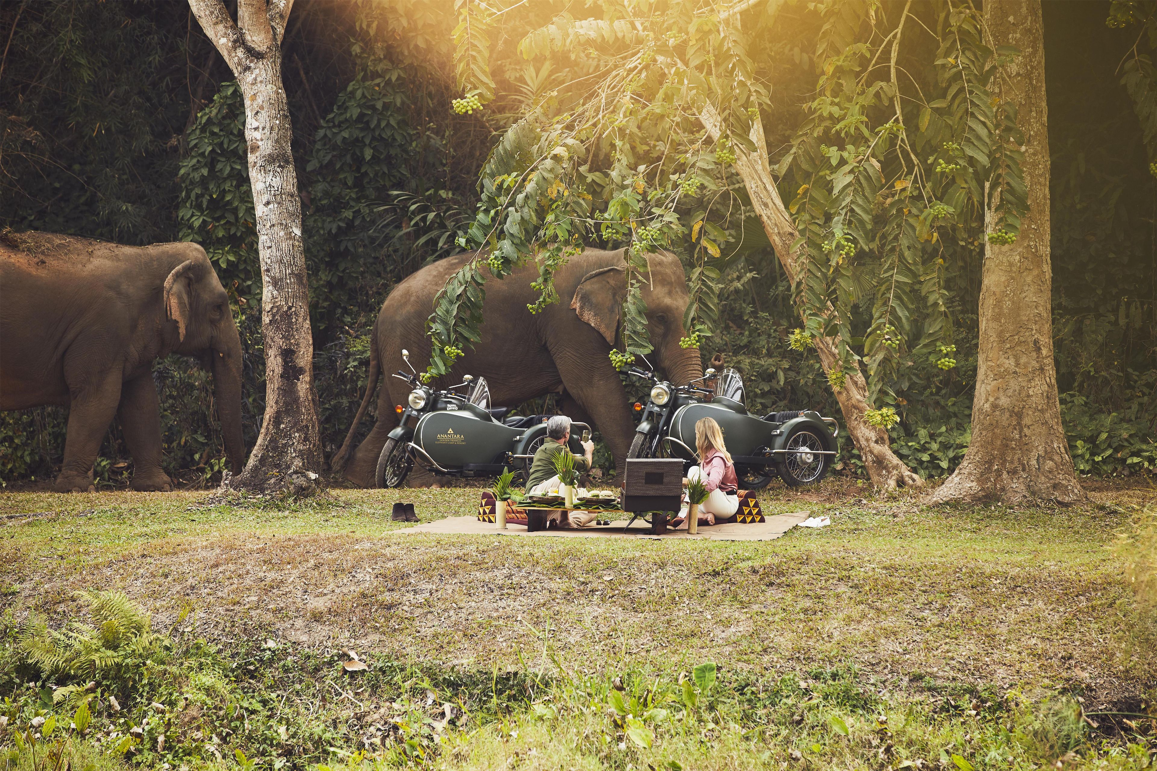 An outdoor scene with two elephants, a motorcycle, and a person sitting on the ground.