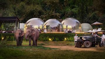 Een luxe eco-resort met transparante koepelvormige accommodaties, een olifantenverblijf en een safari-voertuig.