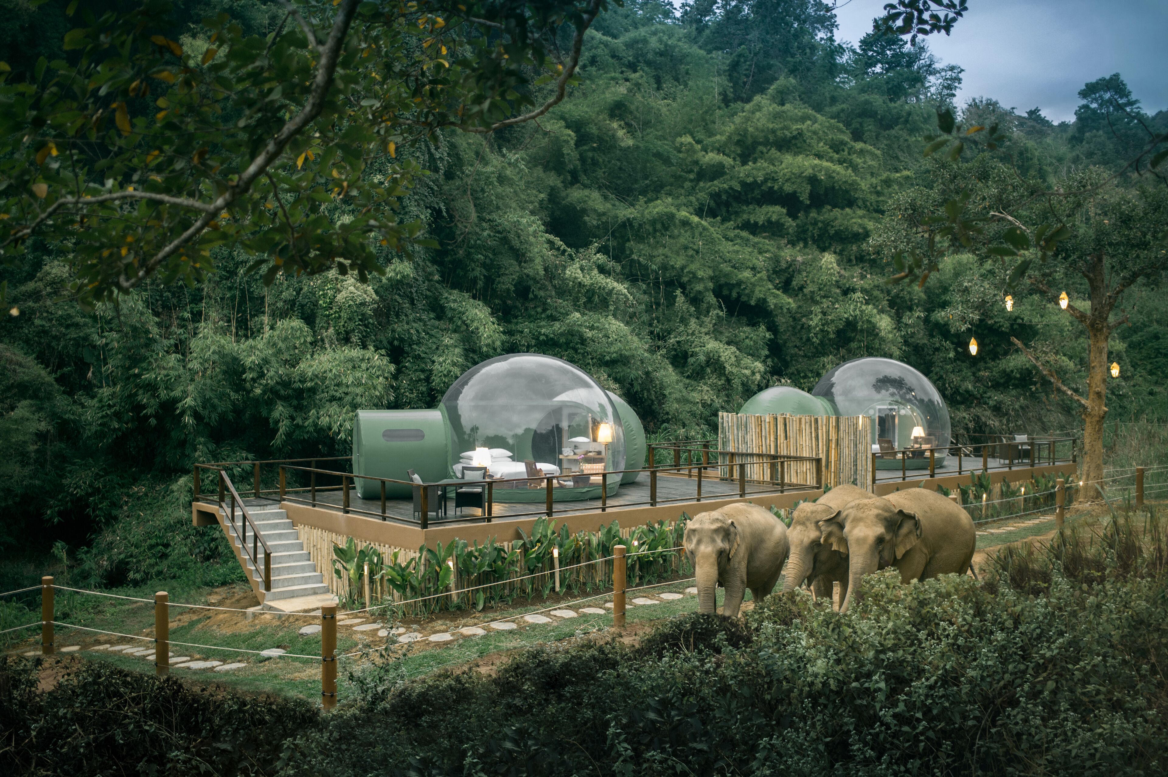 Transparent dome structures with outdoor seating, surrounded by dense forest and a wooden deck.
