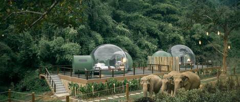 Transparent dome structures with outdoor seating, surrounded by dense forest and a wooden deck.